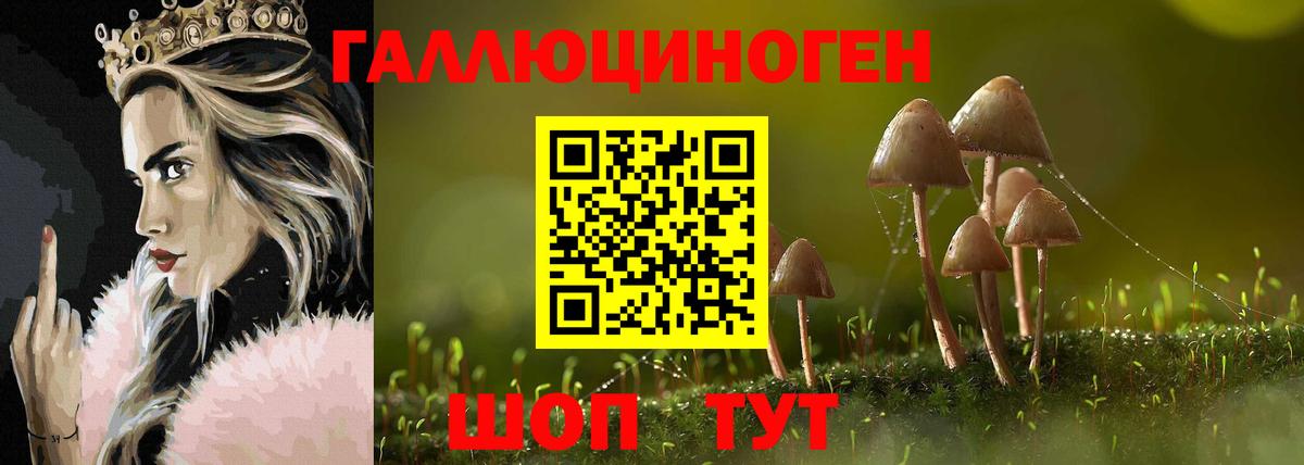 где купить наркотик  Вход с VPN  Донецк  Псилоцибиновые грибы Cubensis 